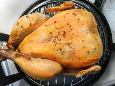 tavuk arka plan izole