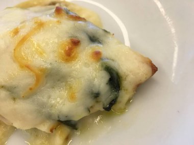 tavuk arka plan izole