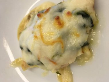 tavuk arka plan izole