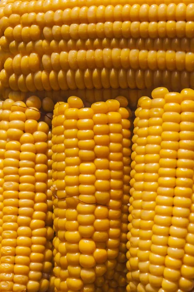Кукуруза, кукуруза, кукуруза — стоковое фото