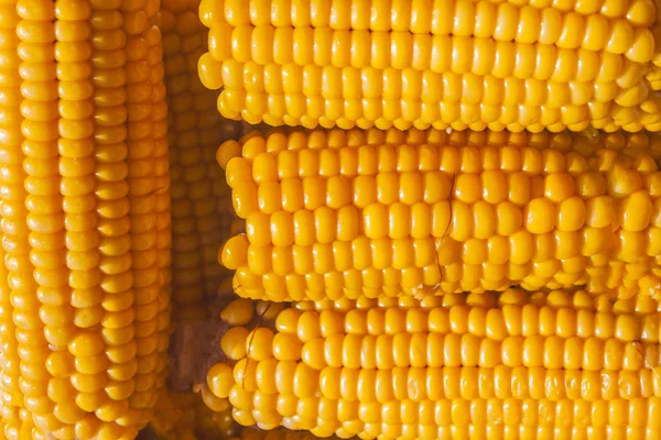 Maíz, maíz, maíz dulce —  Fotos de Stock