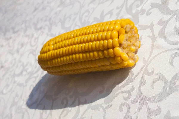 corn, maize, sweet corn