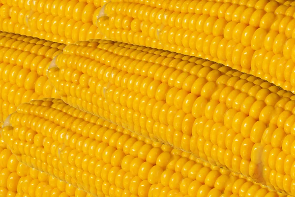 Kukurydza, kukurydza, kukurydza — Zdjęcie stockowe