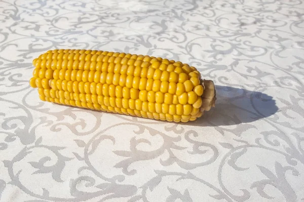 玉米, 玉米, 甜玉米 — 图库照片