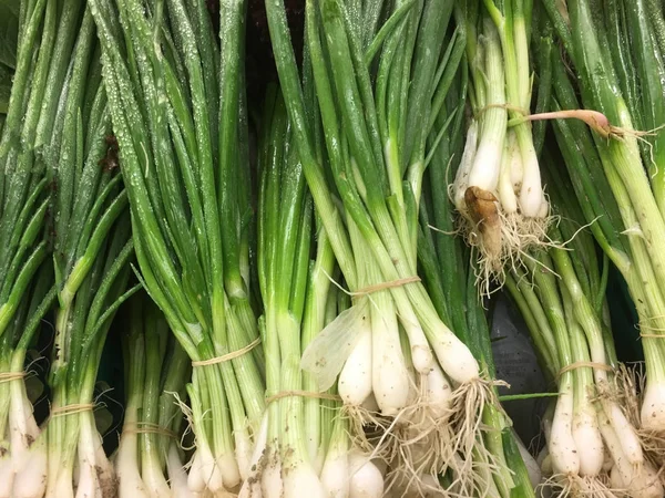 Scallion zielona cebula — Zdjęcie stockowe