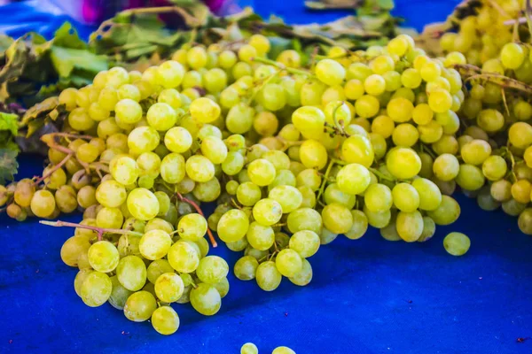 Grape clusters, grape grain — Stock Photo, Image