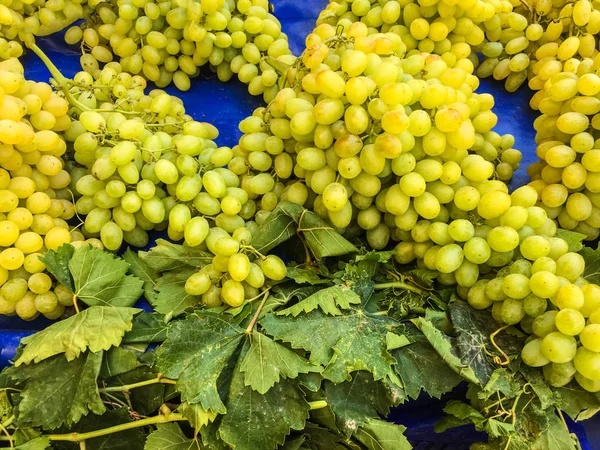 Грудочки винограду, виноградне зерно — стокове фото