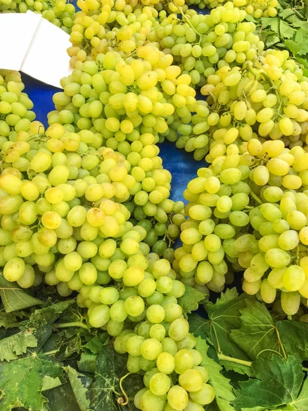 Виноградные скопления, виноградное зерно — стоковое фото