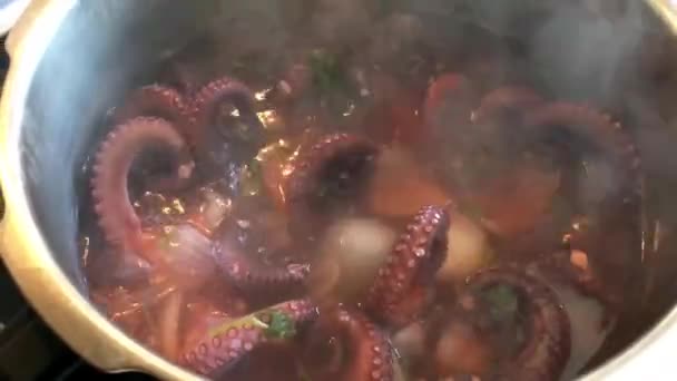 Pulpo Hirviendo Maceta — Vídeos de Stock