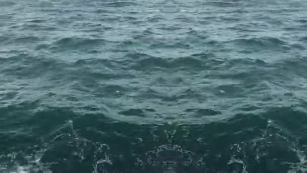 Θαλάσσια Κύματα Στην Παραλία — Αρχείο Βίντεο