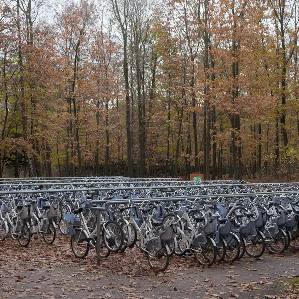 Bicicletas blancas gratuitas cerca de la entrada al parque nacional Hoge Veluwe i — Foto de Stock