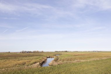 hendek ve uitdam noord-holland yakınındaki waterland meadows
