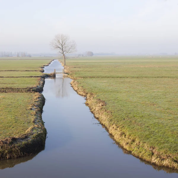 Baum und Brücke in Wiesenlandschaft in den Niederlanden am Meer — Stockfoto