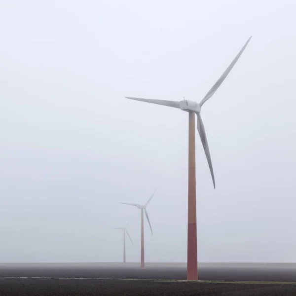 薄雾笼罩在荷兰阿姆斯特丹附近的风力涡轮机 — 图库照片