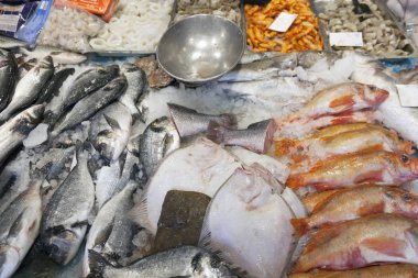 marketstall Hollanda ekranda balık