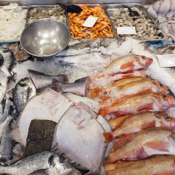 Friss hal, a kijelzőn a hollandiai marketstall — Stock Fotó