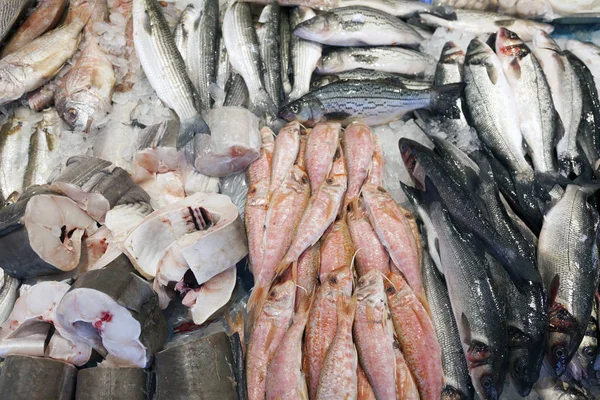 Peixe fresco em exposição no marketstall nas terras baixas — Fotografia de Stock