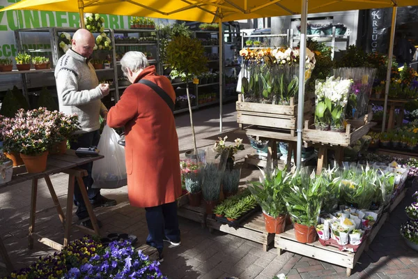 Idős nő vásárol virágok piaci bódé Hollandiában — Stock Fotó