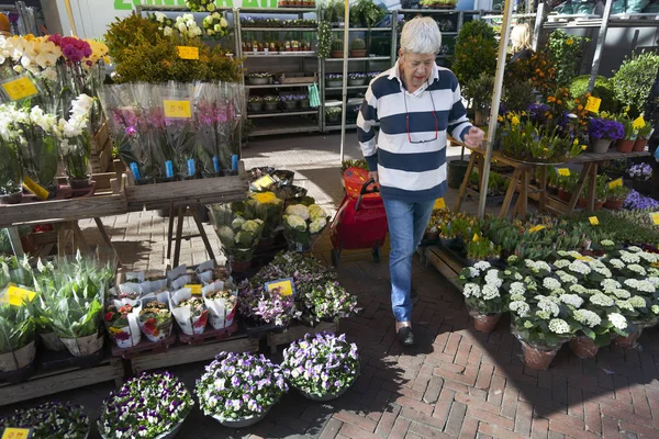 Oudere vrouw met een winkelwagentje tussen bloemen van markt st — Stockfoto