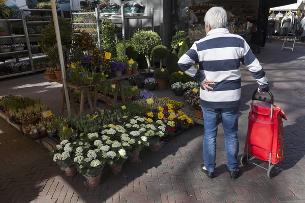 Oudere vrouw met een winkelwagentje kijkt naar de bloemen van markt s — Stockfoto