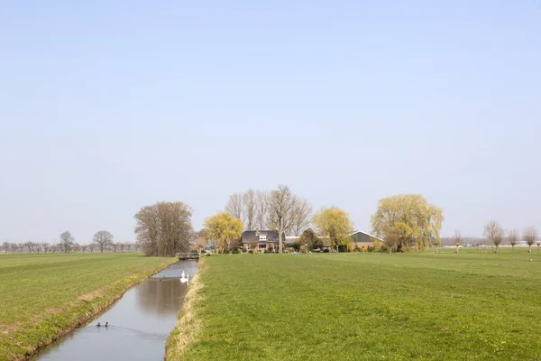 Farm in meadows near utrecht in the green heart of holland on su — Stock Photo, Image