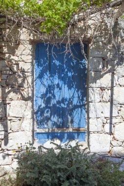 Taze yaprakları ile çok eski Yunan Bina ahşap kepenkleri 