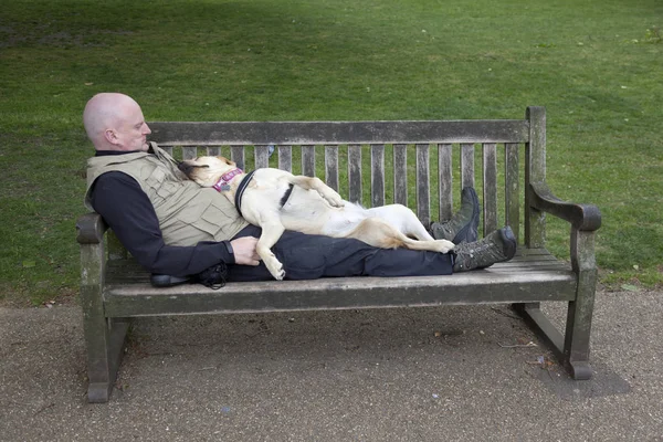 ロンドン セント ジェームズの pa で公園のベンチに男の上で眠る犬 — ストック写真