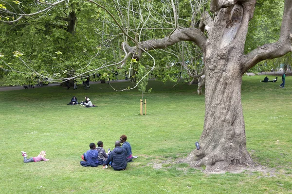 Famille noire est assis sur l'herbe du parc de Londres st James sur spri — Photo