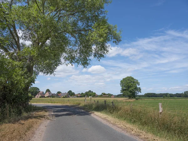 Country road and cornfield north of antwerp in belgium — Stock Photo, Image
