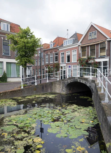 Puente y casas a lo largo del canal lleno de nenúfares en la ciudad holandesa — Foto de Stock