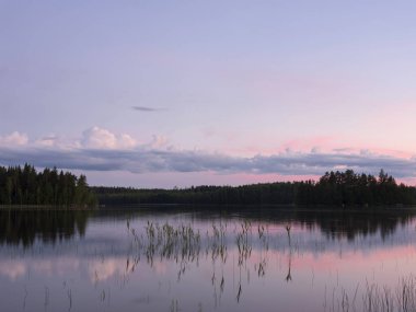 göl ve orman Finlandiya'da Saima gazetesi alanında