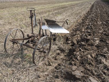 Hollanda'da sahada eski vintage at çizilmiş pulluk