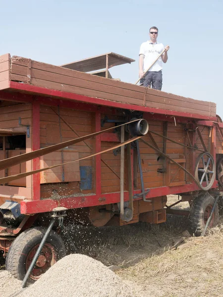 Agricultor no velho debulhador de trigo vintage na Holanda — Fotografia de Stock