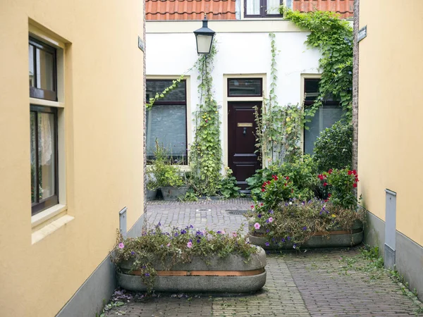 Estrecha calle con pequeñas casas y flores en el centro de la t holandés — Foto de Stock