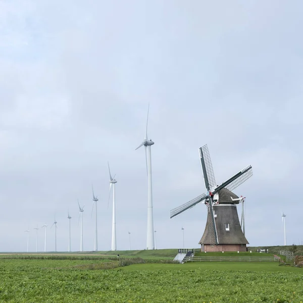 Viejo molino de viento goliath en roodeschool en la provincia holandesa de groningen entre hilera de aerogeneradores modernos — Foto de Stock