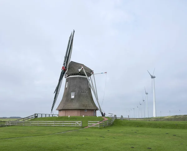 Viejo molino de viento goliath en roodeschool en la provincia holandesa de groningen entre hilera de aerogeneradores modernos — Foto de Stock