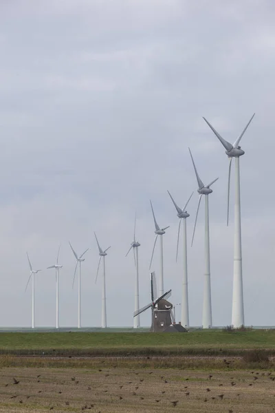 Tradycyjny stary holenderski wiatrak Goliata i wiatr turbiny, w pobliżu eemshaven w północnej prowincji groningen w Holandii — Zdjęcie stockowe