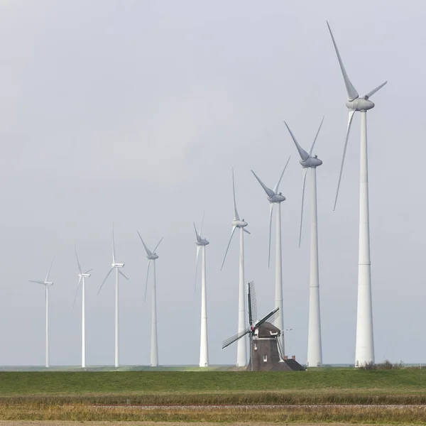 Традиционные старые голландские ветряные мельницы Голиаф и ветряные турбины около eemshaven в северной провинции groningen из низов — стоковое фото