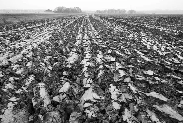 Čerstvě zorané půdy v Nizozemsku — Stock fotografie