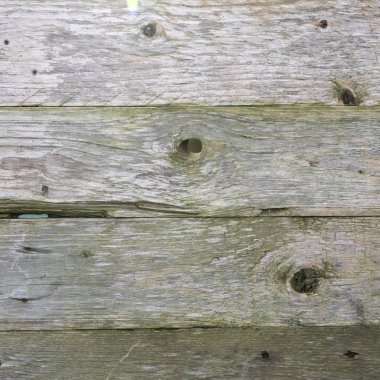 arka planını yıpranmış eski gri çam plakalar