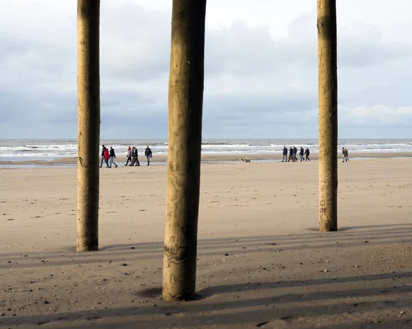 Ludzi i psów wybrać się na spacer na plażę nad Morzem Północnym w Holandii — Zdjęcie stockowe