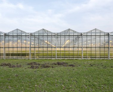 Işıklar açık almere yakınındaki Hollanda ile Hollandalı sera