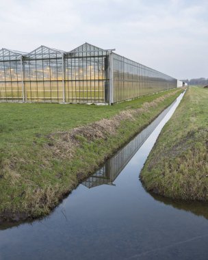 Işıklar açık almere yakınındaki Hollanda ile Hollandalı sera