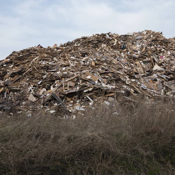 荷兰阿尔梅勒的木材废料倾倒场 — 图库照片