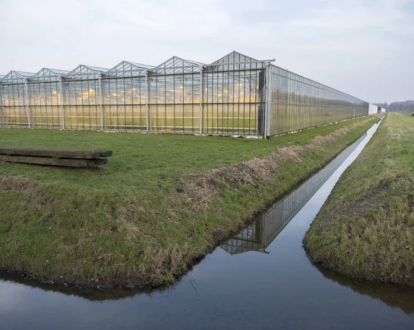 Dutch greenhouse with lights on in the netherlands near almere — Stock Photo, Image