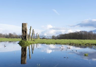 çit ve Hollanda Hilversum ve amersfoort yakınındaki yeşil çayır su birikintisine yansıması