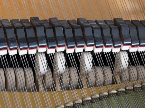 Trampas mudas y martillos dentro de un piano de cola — Foto de Stock