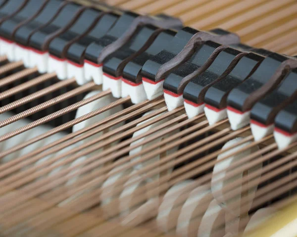 Trampas mudas y martillos dentro de un piano de cola — Foto de Stock