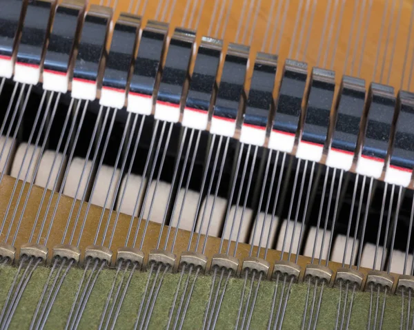 Trampas alfileres y mudos dentro de viejo bechstein piano de cola — Foto de Stock