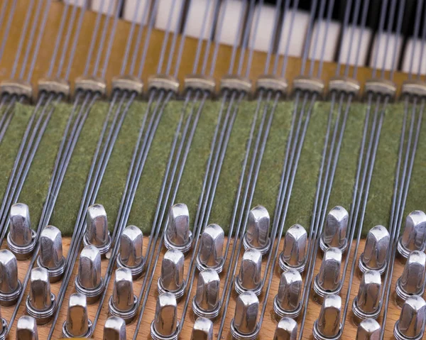 Snares pins and mutes inside old bechstein grand piano — Stock Photo, Image